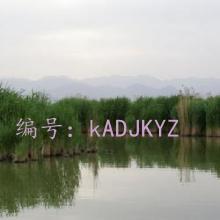 ɹ